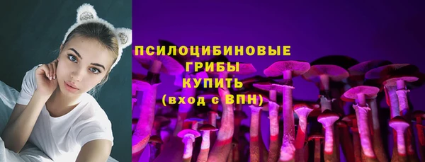 первитин Надым