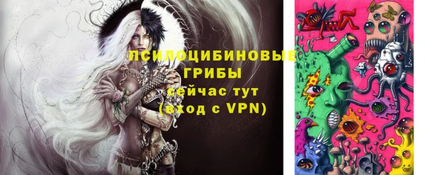 спиды Абаза