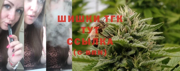 первитин Надым