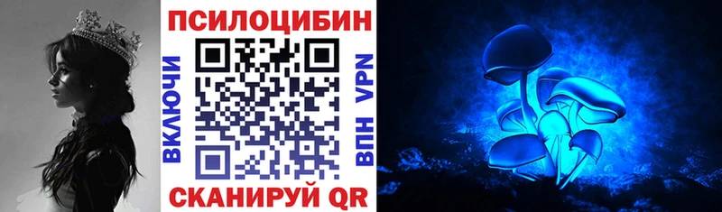 Псилоцибиновые грибы Cubensis Ялуторовск